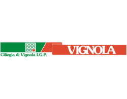 Consorzio di tutela della Ciliegia di Vignola IGP