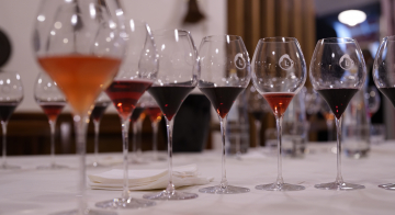 IL LAMBRUSCO CELEBRA I 50 ANNI DI 4 DENOMINAZIONI STORICHE DOC